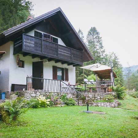Naturalina Holiday House Gorenja Trebusa Exterior photo
