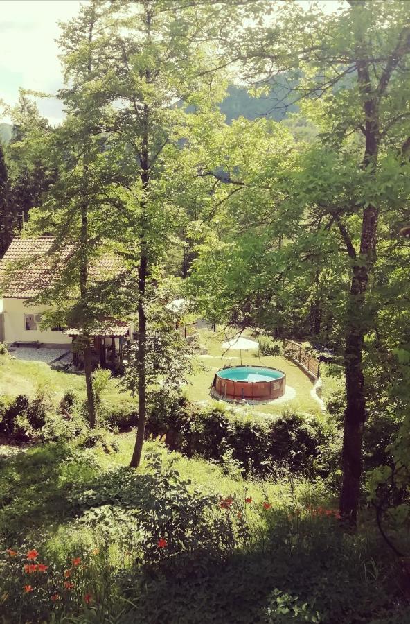 Naturalina Holiday House Gorenja Trebusa Exterior photo