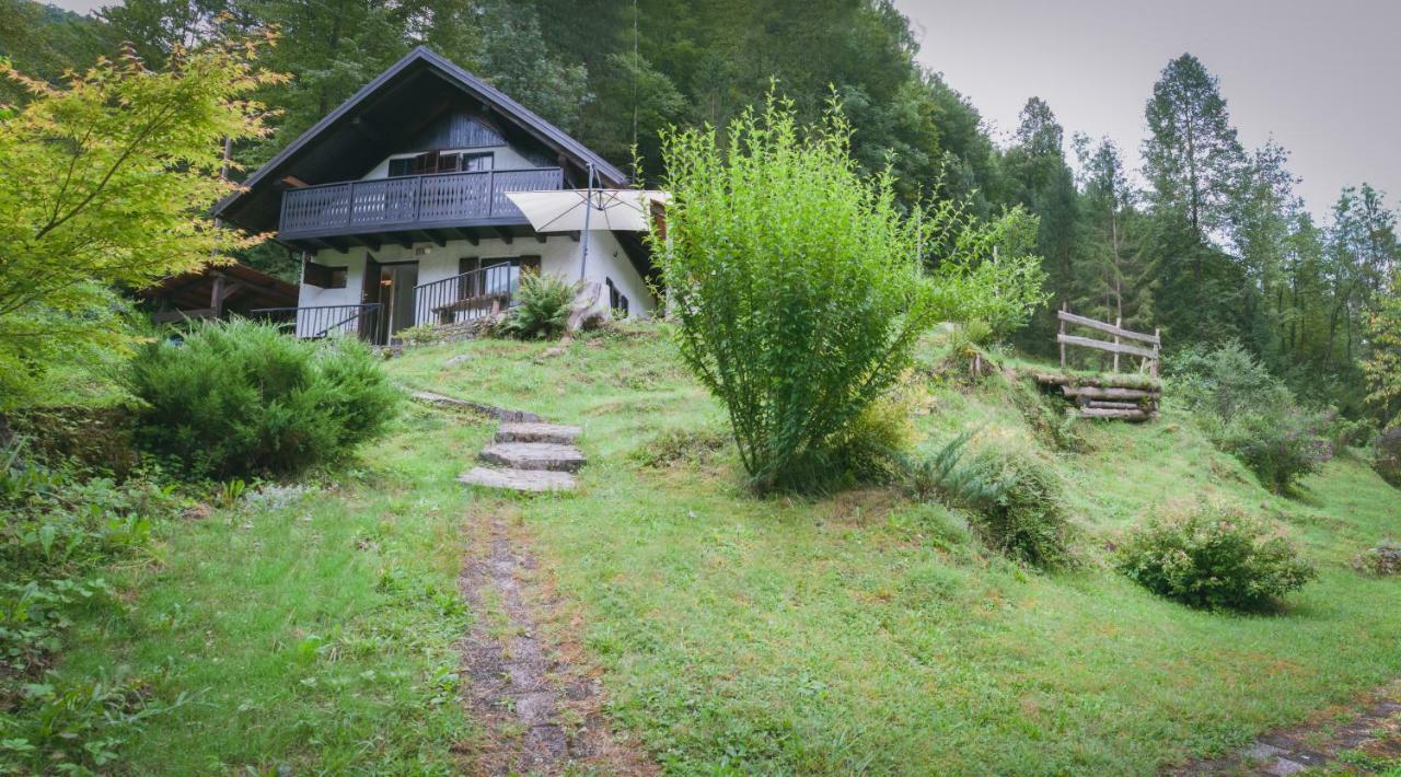 Naturalina Holiday House Gorenja Trebusa Exterior photo