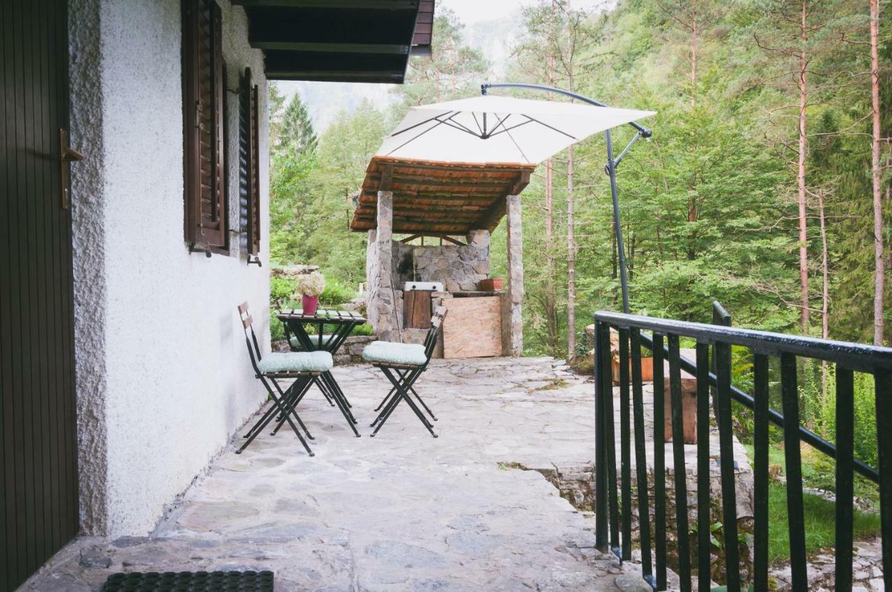 Naturalina Holiday House Gorenja Trebusa Exterior photo