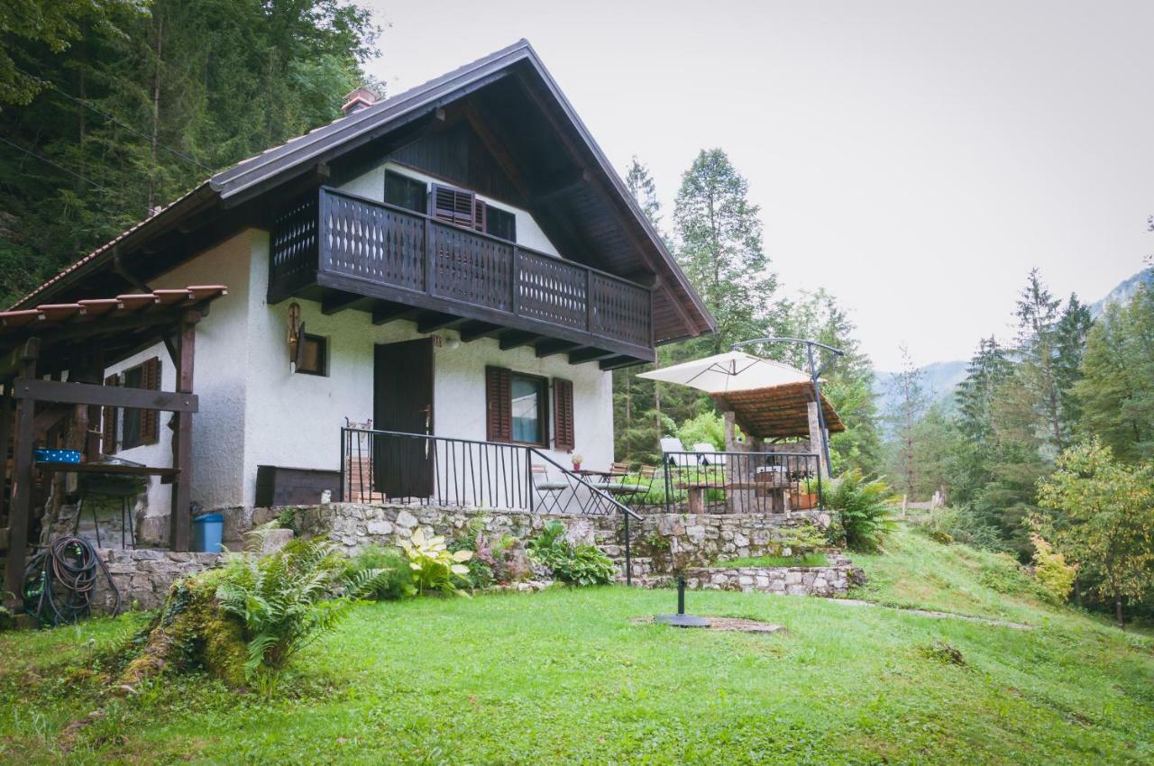 Naturalina Holiday House Gorenja Trebusa Exterior photo
